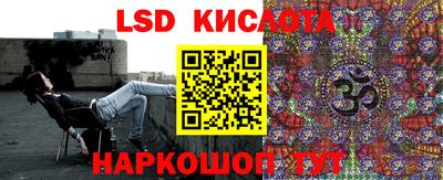 прущие грибы Заводоуковск