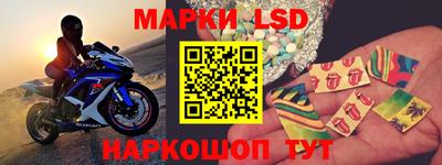 прущие грибы Заводоуковск