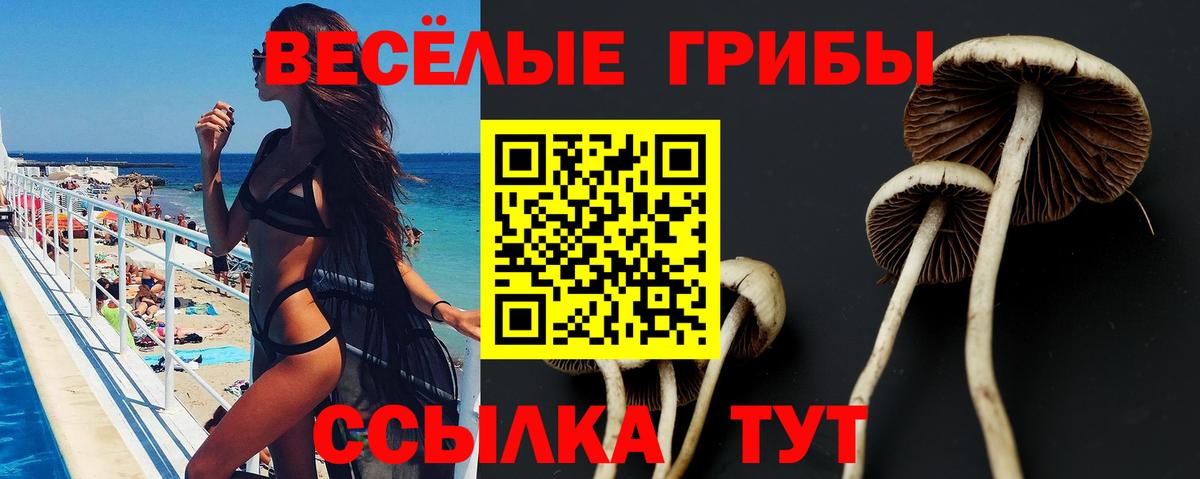 Псилоцибиновые грибы ЛСД  Вход с VPN  Псилоцибиновые грибы прущие грибы  Лесосибирск 
