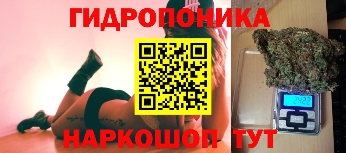 Бошки марихуана Bruce Banner Лесосибирск